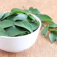 curry leaves