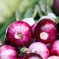 roasted onion flakes