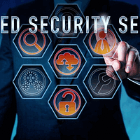 Managed Security Service Provider