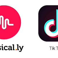 tiktok fans