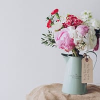 white and pink flowering plant