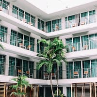 coconut palm trees in hotel lobby