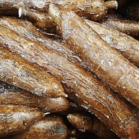 cassava