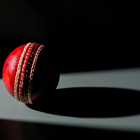 Cricket Ball