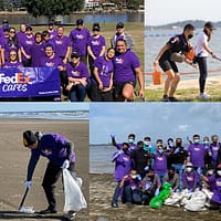 Beach Clean-ups