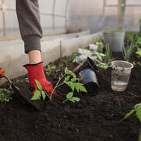 Greenhouse Business