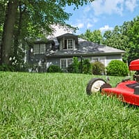 lush lawn