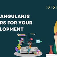 AngularJS Developers