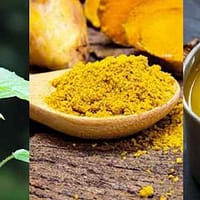 Ayurvedic Diet