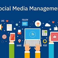 social media management