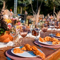 orange and white ceramic plate with clear wine glasses on brown wooden table