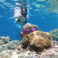 a person swimming in the water near a coral reef