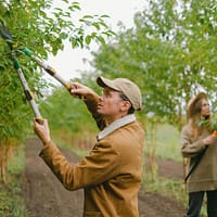 Tree Pruning