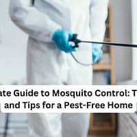 Mosquito Control