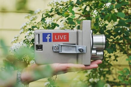 video marketing person holding gray video camera near green leaf plant during daytime