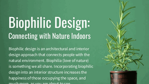 biophilic design