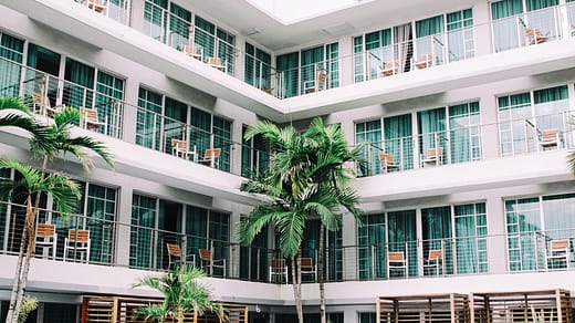 coconut palm trees in hotel lobby