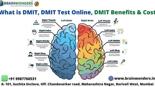 DMIT Test online