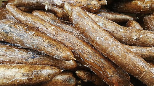 cassava