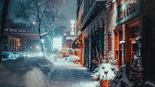 snow covered plant and road in front of cafe