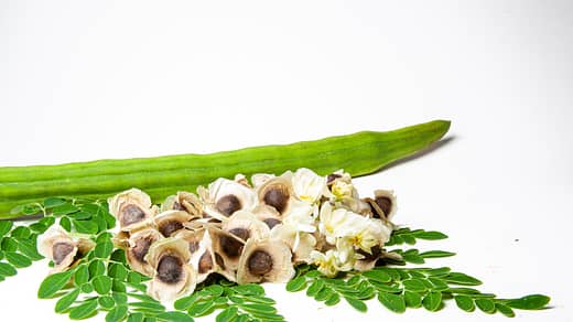 a cucumber and some flowers on a white surface