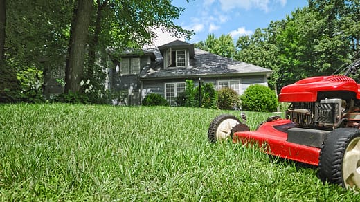 lush lawn