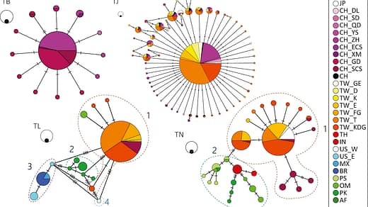 Haplotype