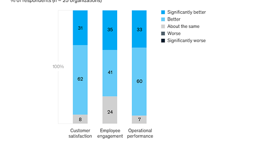 McKinsey's report