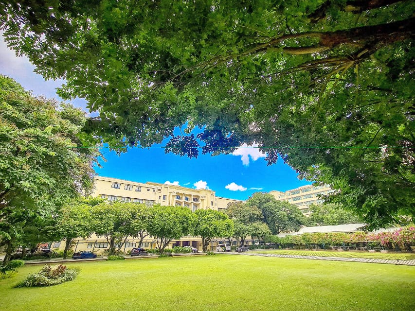 tress surrounding a building- renewable energy