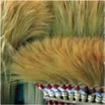 tiger grass broom